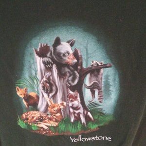 Yellow Stone T Shirt Size 8/10